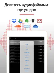 alon dictaphone - Диктофон айпад изображения 3