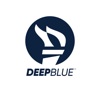 Icon DEEPBLUE Debit