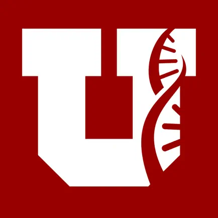 UUHIPMembers Читы