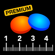 PaletMètre Premium
