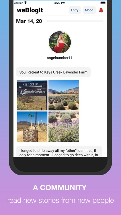 BlogIt - diary, journal, blog screenshot-3