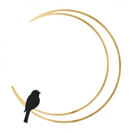 Moonbird Yoga Cheats