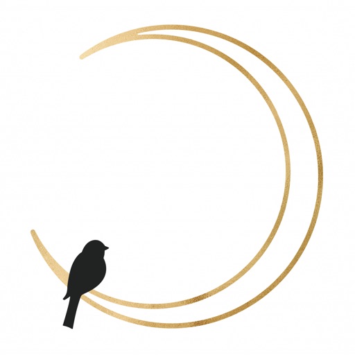 Moonbird Yoga