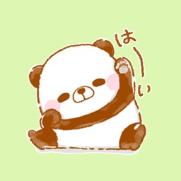 毎日 ゆるぱんだるま