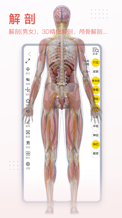 3Dbody解剖のおすすめ画像1