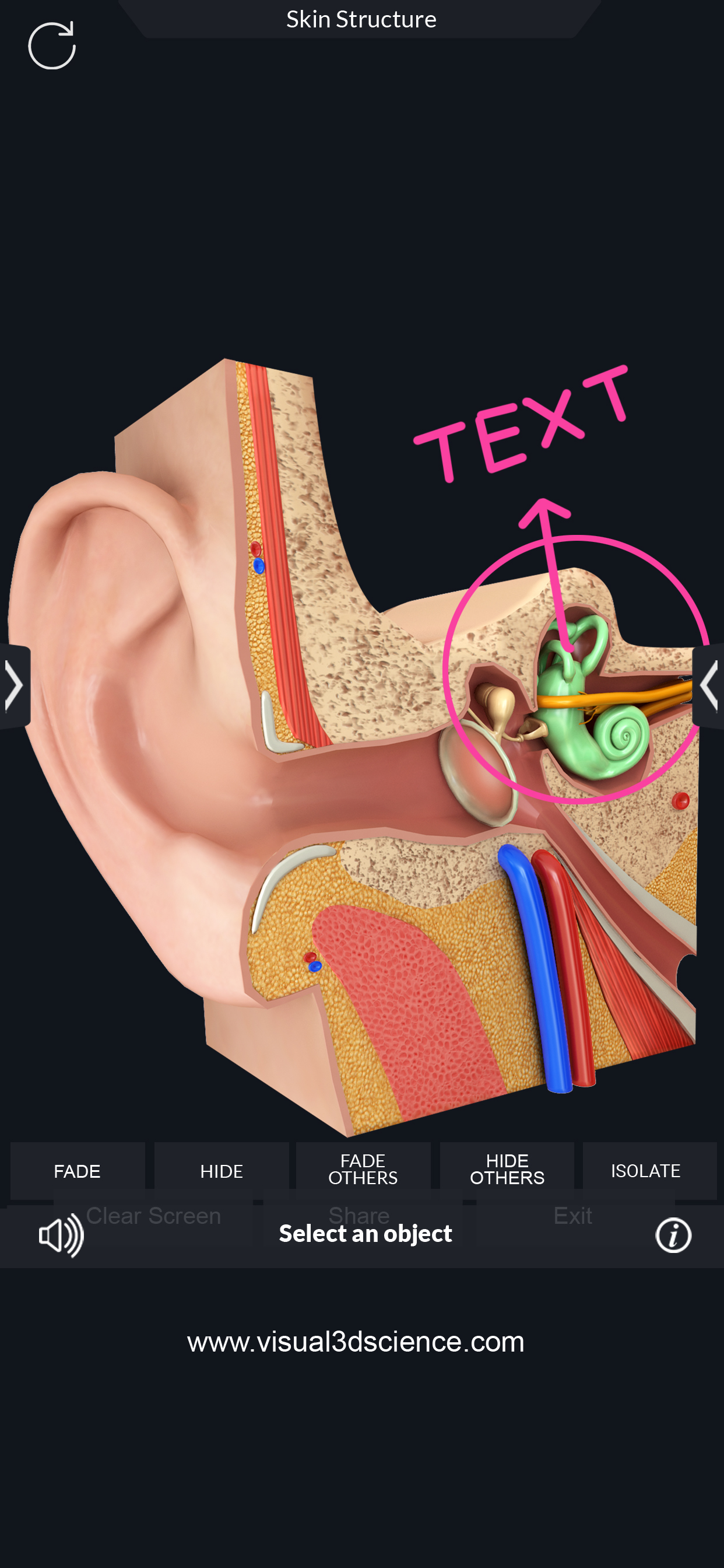 Organs Anatomy screenshot 6