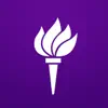 NYU Mobile App Feedback