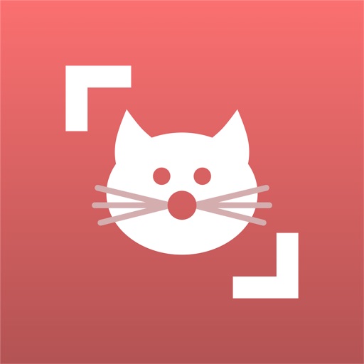 Cat Scanner Icon