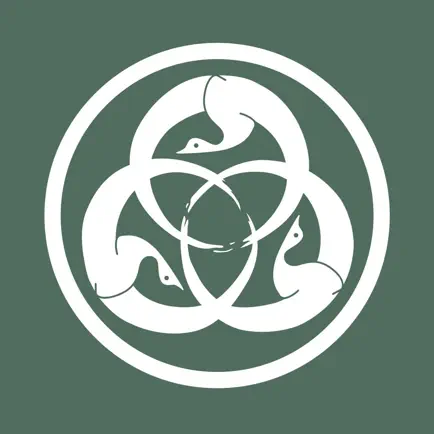Connection Culture Читы