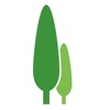CYPRESS icon