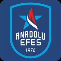 Anadolu Efes Spor Kulübü