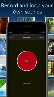 White Noise Lite iphone bilder 2