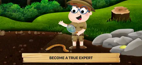 Bugs 2: What Are They Like?