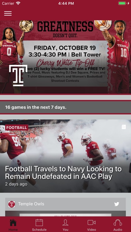 Temple Owls