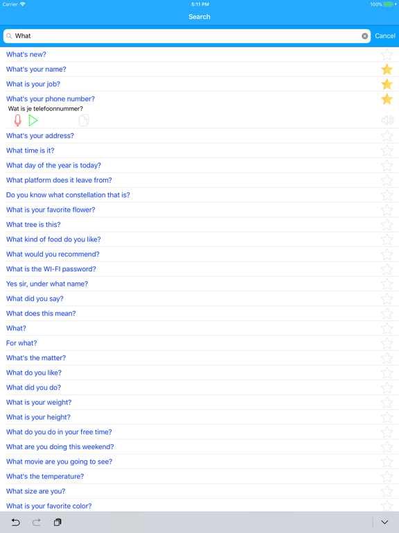 Learn Dutch Phrasebook iPad screenshot 7 - Education app