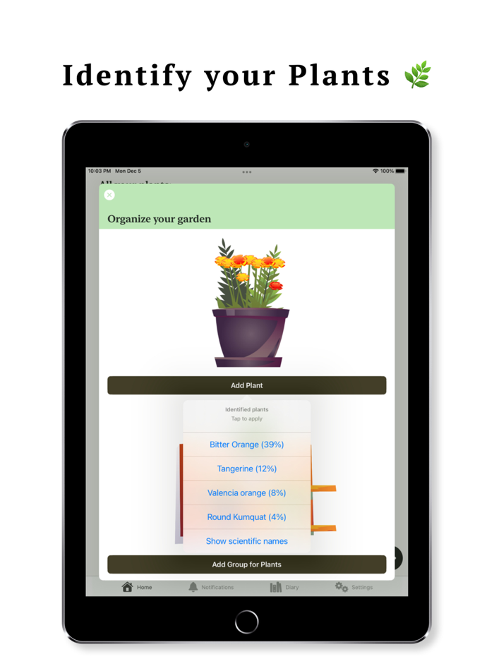 Indoor Plant Garden Planning