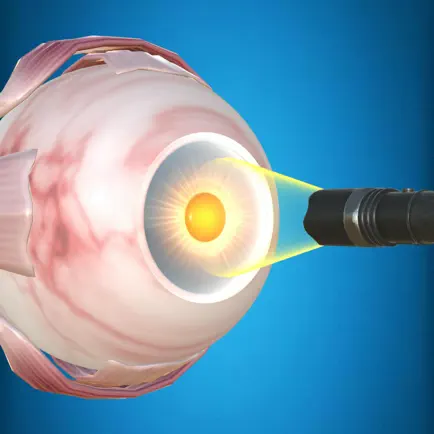 The Eye (Anatomy & Physiology) Cheats