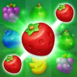 Berry Match: Emily’s World App Contact