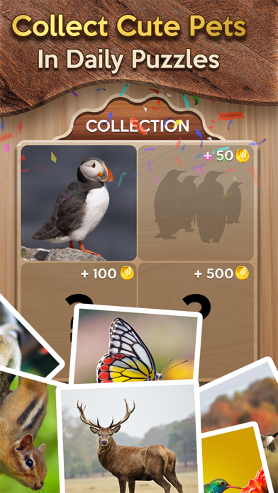 Woody Cross: Word Connect Game Screenshot