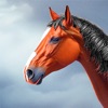 野生 馬 動物 シミュレーター - iPadアプリ