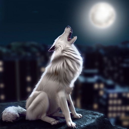 Wild Wolf Life In The City 3D icon