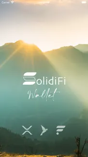 solidifi problems & solutions and troubleshooting guide - 1