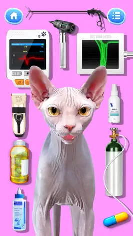 Game screenshot Cat Games: Pet Vet Doctor Care hack