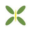 Natrella icon