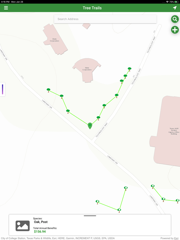 Screenshot #4 pour Tree Trails