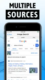 image search app iphone screenshot 2