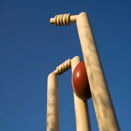 CricScore -Cricket Scoring App Читы
