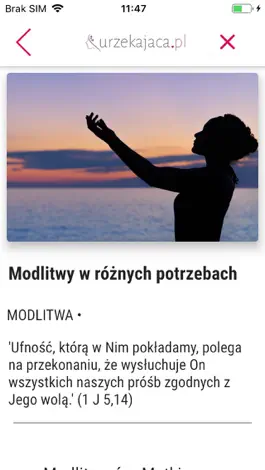 Game screenshot Urzekająca hack