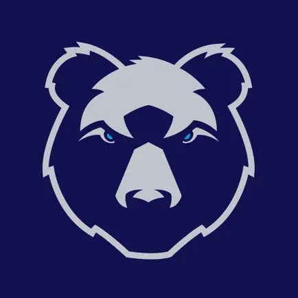 Bristol Bears Читы