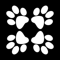 Four Paws Pet Hotel and Resort