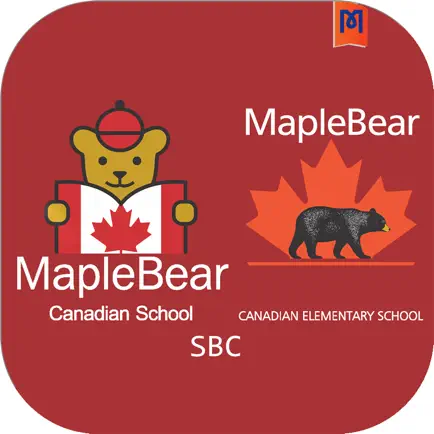 Maple Bear SBC Cheats