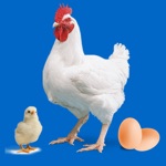 Download Easy Poultry Manager app