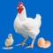 Icon Easy Poultry Manager