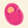 Pregnancy Affirmations - iPhoneアプリ
