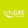 Informe del Sector Gas Natural