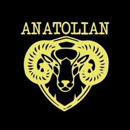 Anatolian Grill