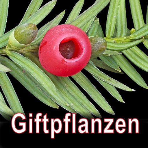 Giftpflanzen Mitteleuropas icon