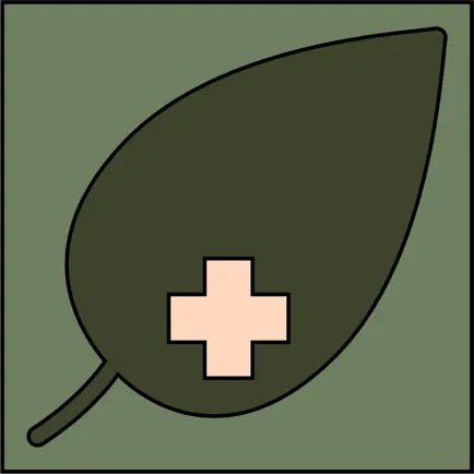 Wildermed Читы