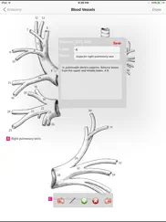 anatomy atlas айпад изображения 3