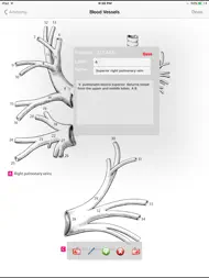Anatomy Atlas ipad bilder 2