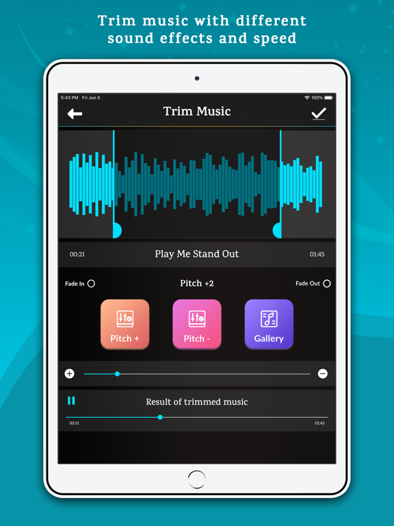 Offline Music Player Lite iPad screenshot