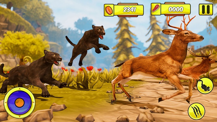 Cheetah RPG Jungle Simulator