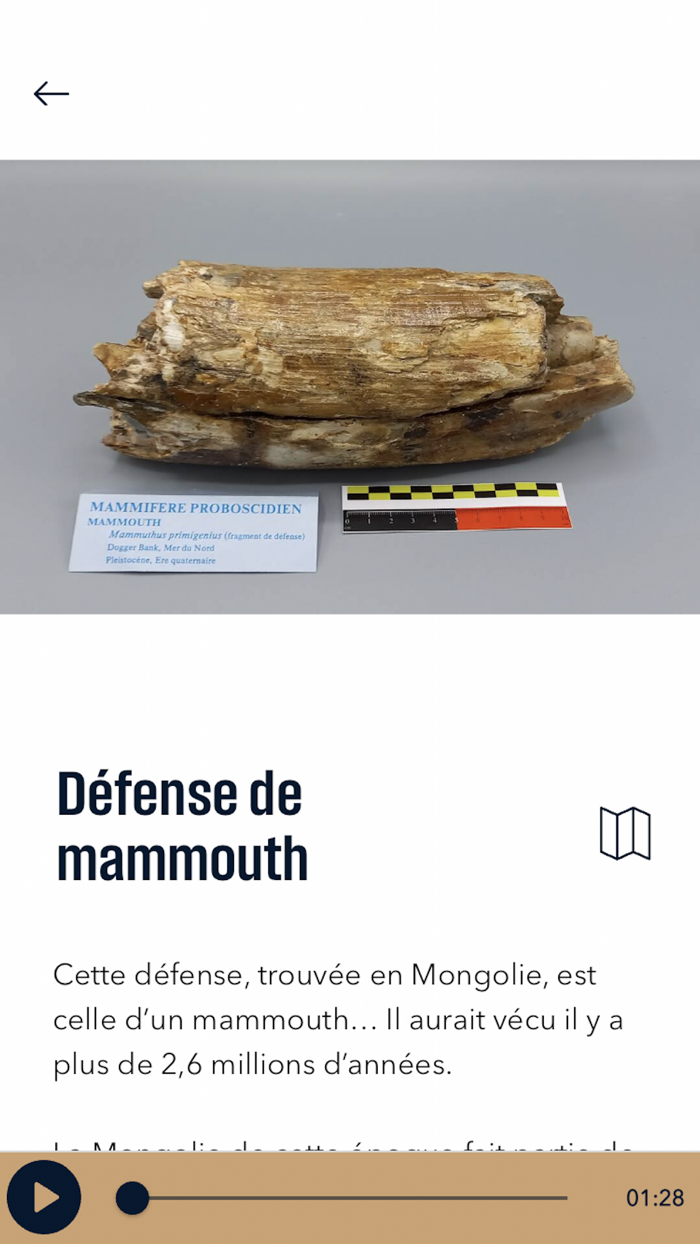 Exposition Gengis Khan