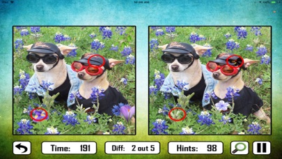 Animal Find The Difference Screenshot