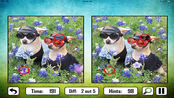 Animal Find The Difference