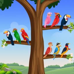 Bird Sort - Color Puzzle Games